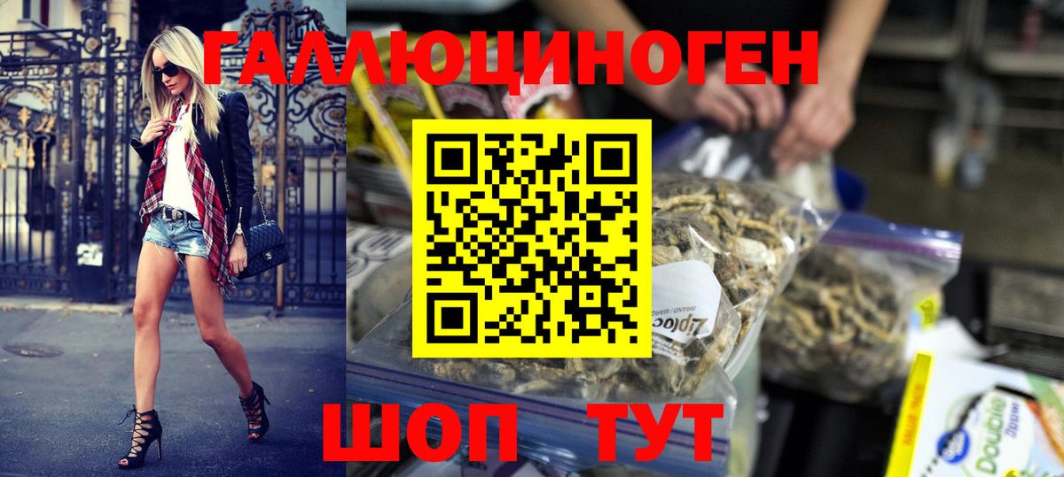 Псилоцибиновые грибы Magic Shrooms Курчалой