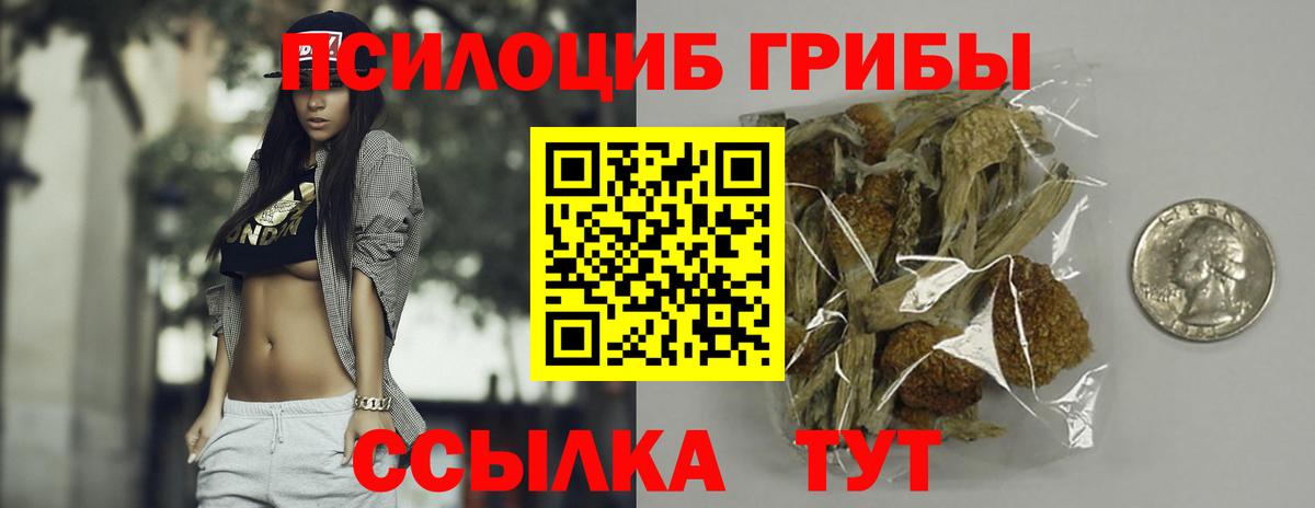 Курчалой  Галлюциногенные грибы Psilocybe  Вход с VPN 